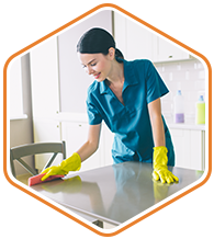 Cleaning Services License